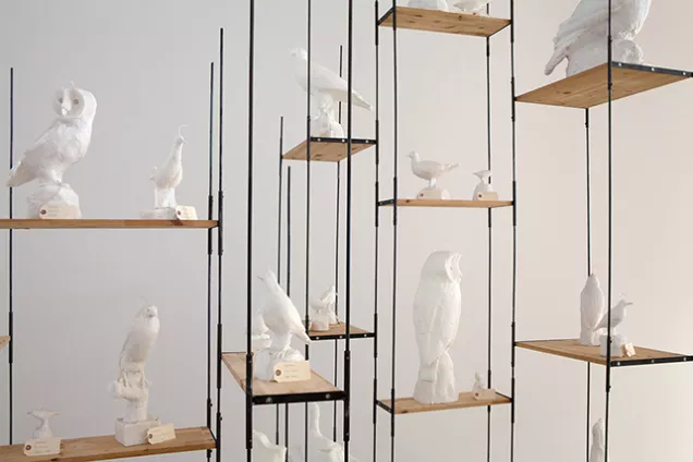 Fågelskulpturer i vit stearin i ett hyllsystem. 