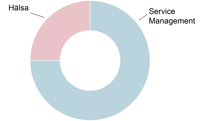 Cirkeldiagram som visar att programmet till tre fjärdedelar består av kurser inom Service Management och till en fjärdedel av kurser inom Hälsa. Illustration.